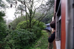 10.07.10 Serra do Mar 048