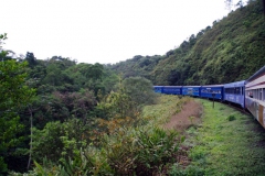 10.07.10 Serra do Mar 052