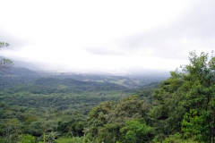 10.07.10 Serra do Mar 054