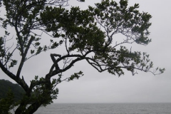 17.07.10 Ilha do Mel 010