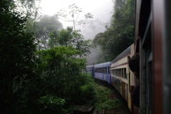 10.07.10 Serra do Mar 042
