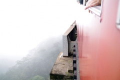 10.07.10 Serra do Mar 044