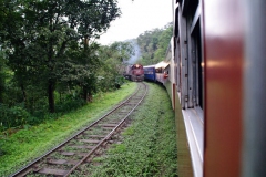 10.07.10 Serra do Mar 056