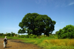 111109 Missira 086