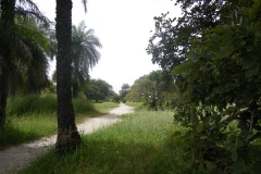 301009 Dionewar 004