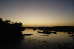 081109 Toubacouta 001