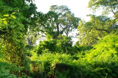 091109 Toubacouta 043