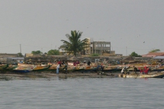 13.11.09 Djifer 028
