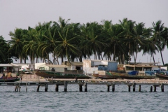14.11.09 Djifer 007