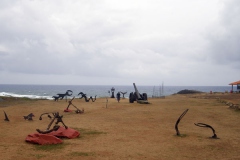 300110 Museo Tubarao 007