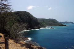 310110 Baia dos Golfinhos 018