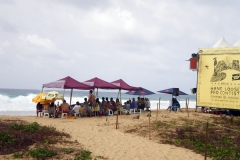 310110 Contemplant cncurs de surf 030