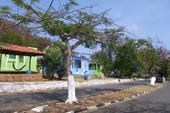 310110 Remedios 012