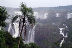09.07.10 Catarata do Iguacu 022
