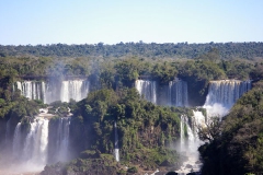 IMGP0507
