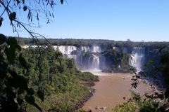 IMGP0518