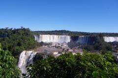 IMGP0523