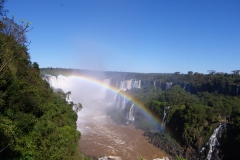 IMGP0527
