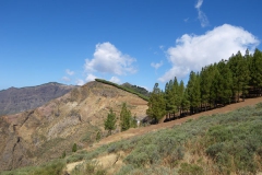 031009 Gran Canaria IMGP0019