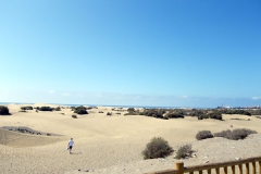 041009Mas PalomasIMGP0036