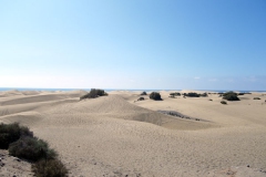 041009Mas PalomasIMGP0038