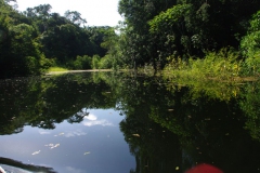 Igarape_Llac Juma2
