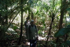 Caminada selva_Llac Juma
