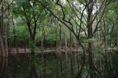 Igarape_Llac Juma