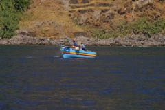 190809Funchal_a_Caletha 095