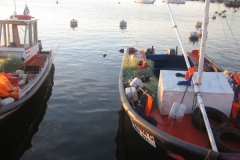 Barques de pesca _Piriapolis