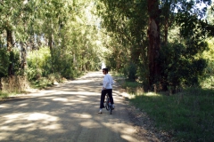 25.08.10 En bici fins a Punta Colorada 004
