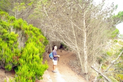 PortoSanto 013