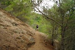 PortoSanto 018