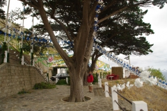 PortoSanto 045