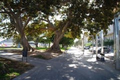 Cartagena 036