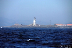 Pta.Paloma138