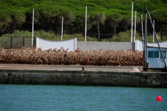 10_Barbate_ancores_almadraves