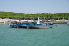 Almadravers a Barbate