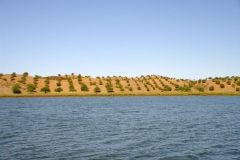 Guadiana 036