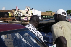 24102009De Dakar a Saint Louis 010 rec