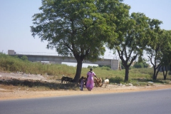 24102009De Dakar a Saint Louis 014