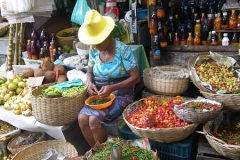 Mercado Sao Joaquim