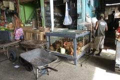 Mercado Sao Joaquim2