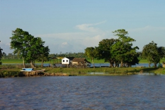 Granja al Amazones