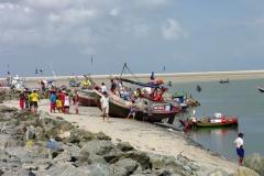 Barques de pesca_Raposa