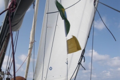 290110 Isant bandera Brasil 006